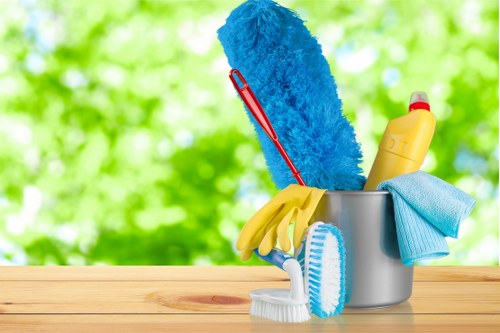 Carpet cleaner inspecting a room before starting work