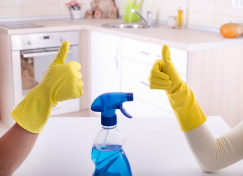 Deep carpet cleaning process removing dirt from carpet fibers