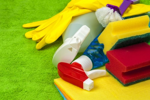 Local specialist cleaning a hallway after a pet accident