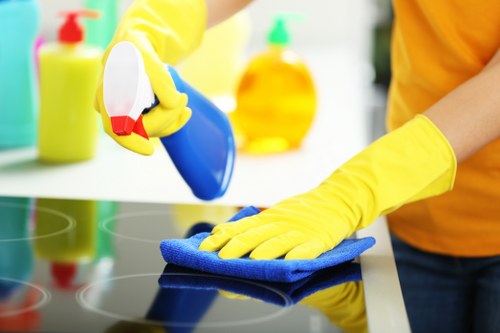 One-off domestic cleaning support for Acton households