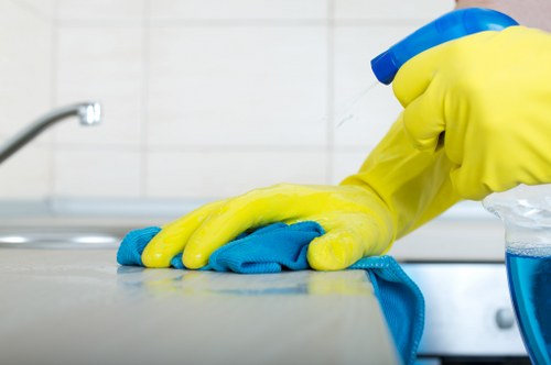 Professional deep clean in Acton for a flat interior with dusting and surface care