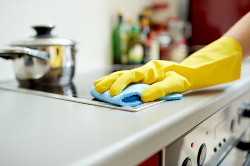 Deep carpet cleaning for a busy Acton family home or rental flat